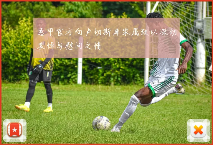 意甲官方向卢切斯库家属致以深切哀悼与慰问之情